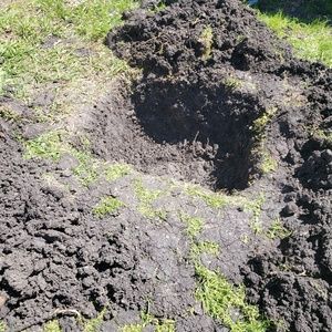 Meet your Posher, Don